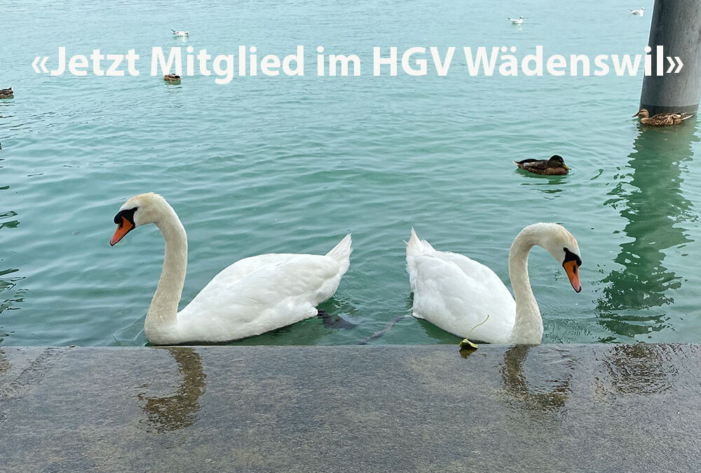 Online gut vernetzt – aber lokal präsent.