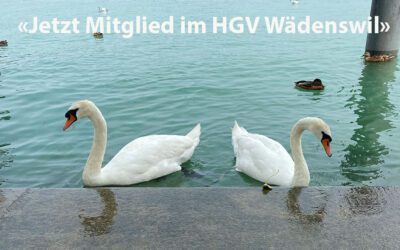 Online gut vernetzt – aber lokal präsent.