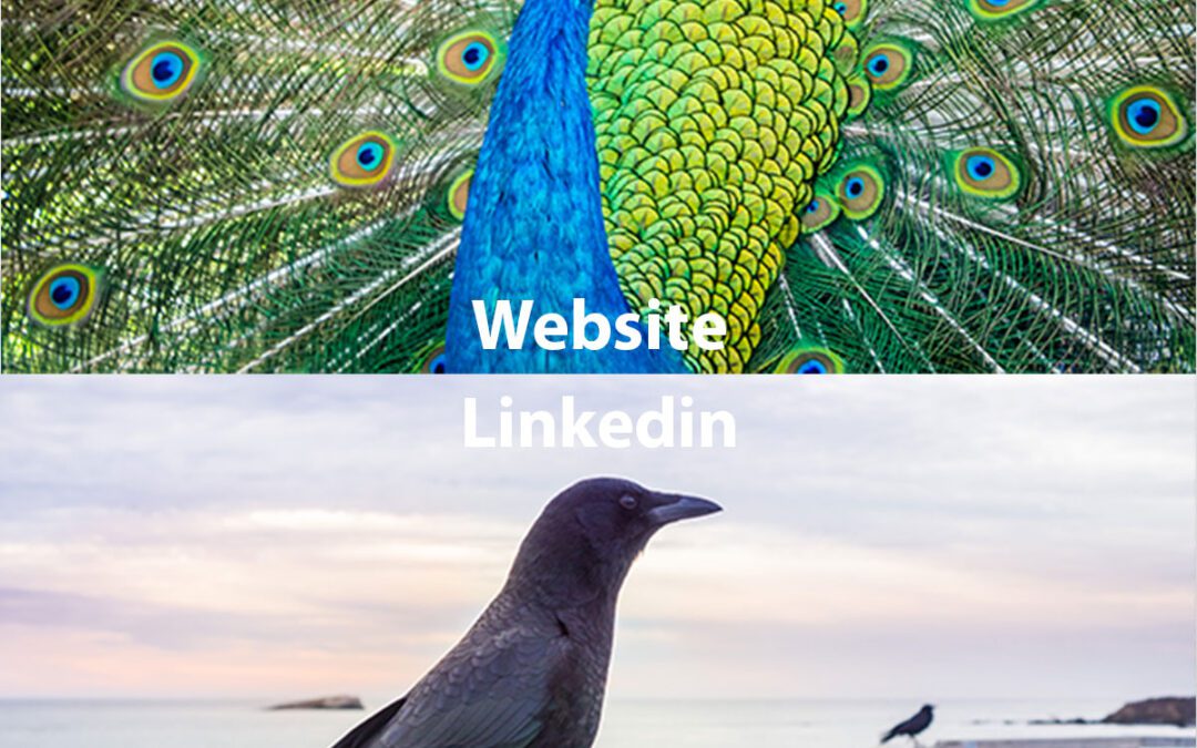 «LinkedIn ist die neue Website!» – wirklich?