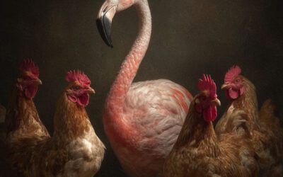 Porträtfotos? Nett. Aber sonst?